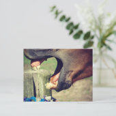 Horse Yawn Postkarte (Stehend Vorderseite)