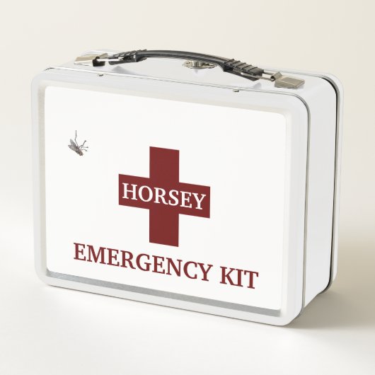 HORSEE ERSTE BEIHILFE KIT-KARTE METALL BROTDOSE (Rückseite)