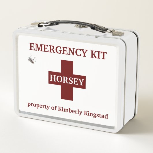 HORSEE ERSTE BEIHILFE KIT-KARTE METALL BROTDOSE (Rückseite)