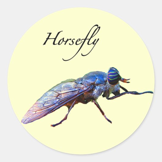 Horsefly Runder Aufkleber (Vorderseite)