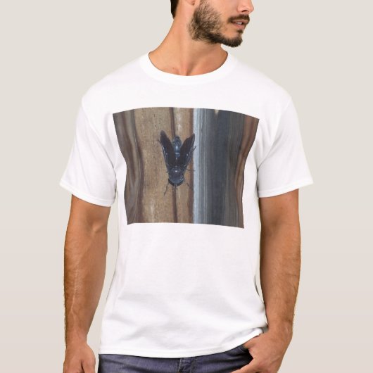 Horsefly T-Shirt (Vorderseite)