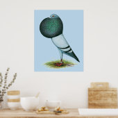 Horseman Pouter Blue Poster (Küche)