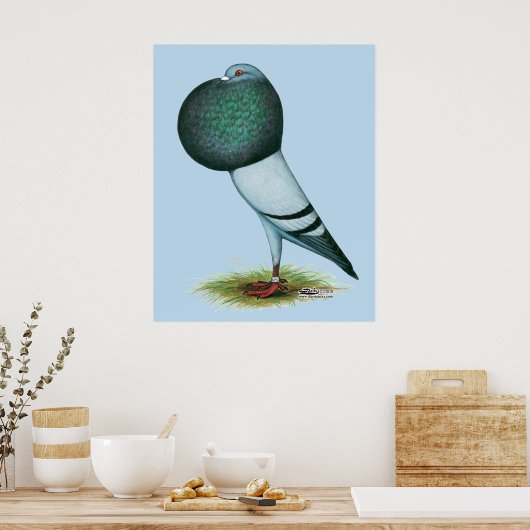 Horseman Pouter Blue Poster (Küche)