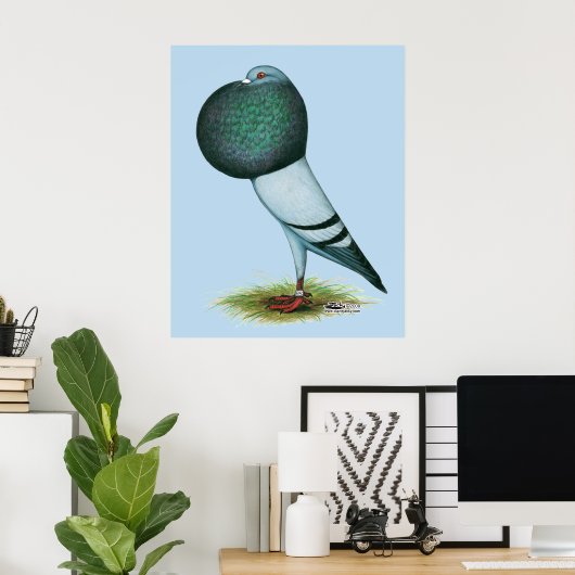 Horseman Pouter Blue Poster (Heimbüro)