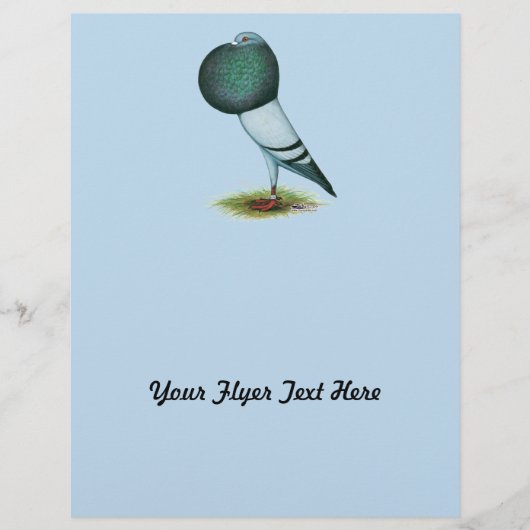 Horseman Pouter Pigeon Blue Flyer (Vorne)