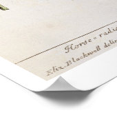 Horseradish, Teller 415 von "A Curious Herbal", pu Poster (Ecke)