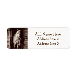 Horses and Rustic Brown Barn