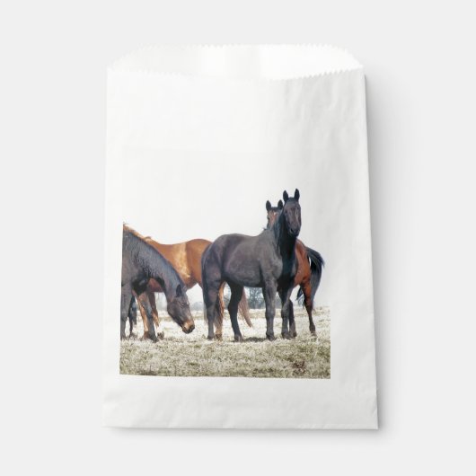 HORSES GESCHENKTÜTCHEN (Vorderseite)