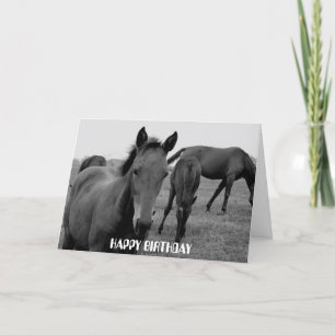 HORSES HAPPY BIRTHDAY-Kartendesign Karte