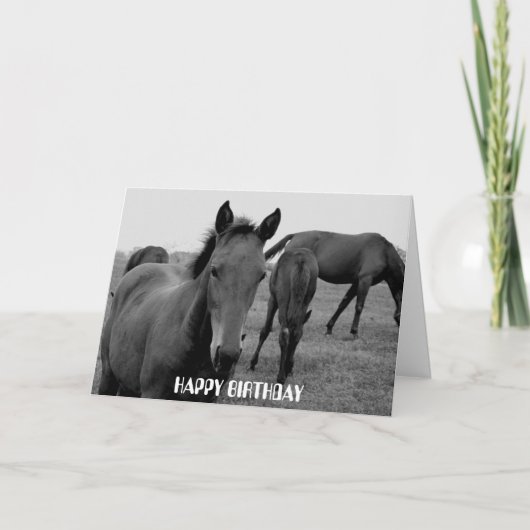 HORSES HAPPY BIRTHDAY-Kartendesign Karte (Vorderseite)