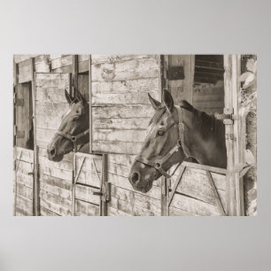 Horses in Stable Poster