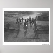 Horses into the corral poster (Vorne)