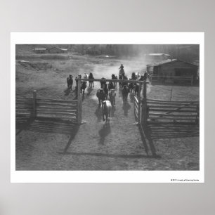 Horses into the corral poster