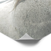 HORSES Mane Flea-Bitten Gray Mare Archival Poster (Ecke)