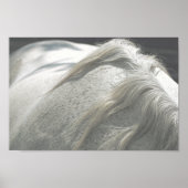 HORSES Mane Flea-Bitten Gray Mare Archival Poster (Vorne)