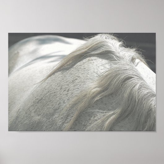 HORSES Mane Flea-Bitten Gray Mare Archival Poster (Vorne)