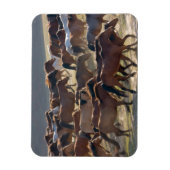 Horses on the ranch, Inner Mongolia, China Magnet (Vertikal)