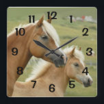 Horses  Palomino Mother and Foal Portrait Quadratische Wanduhr<br><div class="desc">Featured on this clock is a portrait of a Haflinger mare and her foal. The numbers are calibrated to correspond to the proper time indications. This clock would make a perfect gift for a horse lover.</div>