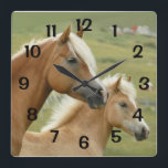 Horses  Palomino Mother and Foal Portrait Quadratische Wanduhr<br><div class="desc">Featured on this clock is a portrait of a Haflinger mare and her foal. The numbers are calibrated to correspond to the proper time indications. This clock would make a perfect gift for a horse lover.</div>