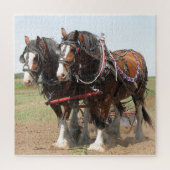 Horses Plowing Puzzle (Vertikal)