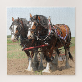 Horses Plowing Puzzle