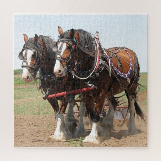 Horses Plowing Puzzle (Vertikal)