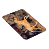 Horses Running a Ponderosa Ranch Magnet (Rechte Seite)