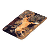 Horses Running a Ponderosa Ranch Magnet (Linke Seite)