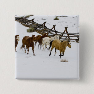 Horses Running in Snow Button
