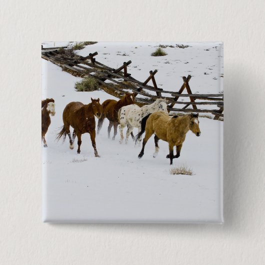 Horses Running in Snow Button (Vorderseite)