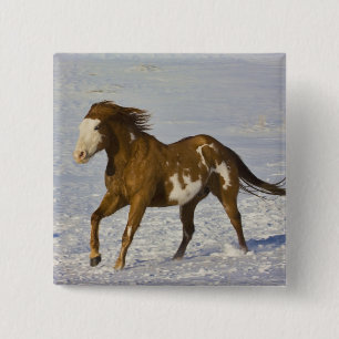 Horses Running in Snow Button