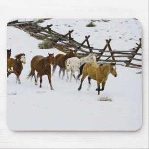 Horses Running in Snow Mousepad