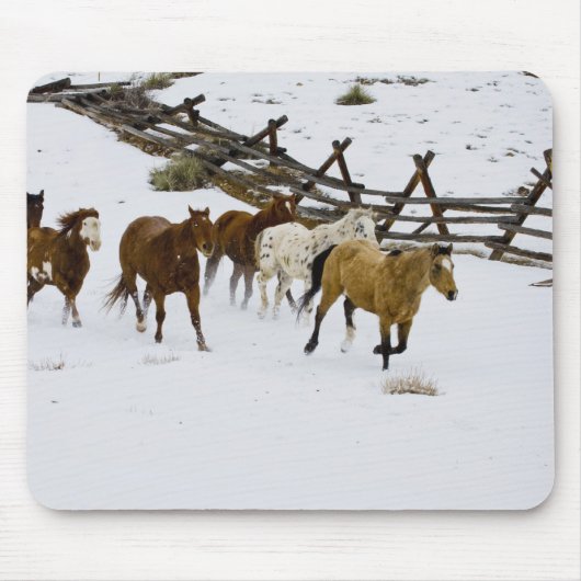 Horses Running in Snow Mousepad (Vorne)