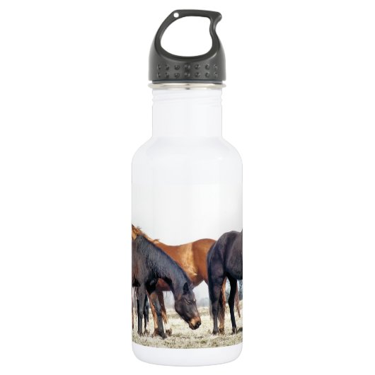 HORSES TRINKFLASCHE (Vorderseite)