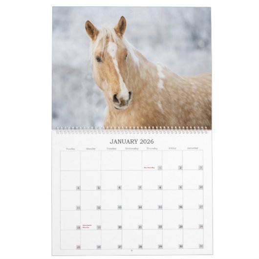 Horses Unbridled Wildlife Photography Custom Year Kalender (Jan 2026)