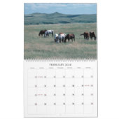 Horses Unbridled Wildlife Photography Custom Year Kalender (Feb 2026)