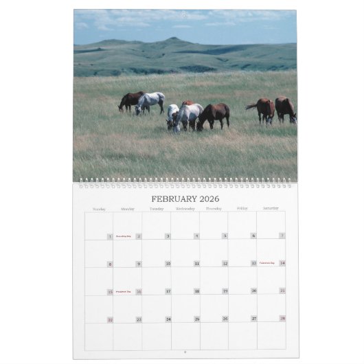 Horses Unbridled Wildlife Photography Custom Year Kalender (Feb 2026)