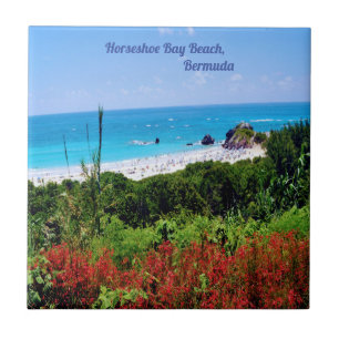 Horseshoe, Bay Beach, Bermuda Fliese
