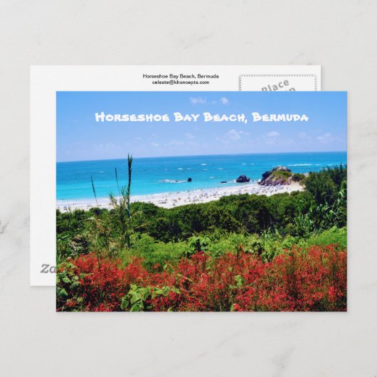 Horseshoe Bay Beach, Bermuda Postcard Postkarte (Vorne/Hinten)
