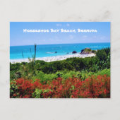 Horseshoe Bay Beach, Bermuda Postcard Postkarte (Vorderseite)