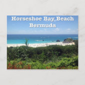 Horseshoe Bay Beach, Bermuda Postkarte (Vorderseite)