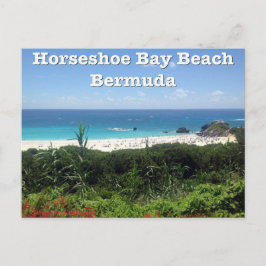 Horseshoe Bay Beach, Bermuda Postkarte