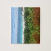 Horseshoe Bay Beach, Bermuda Puzzle (Vertikal)