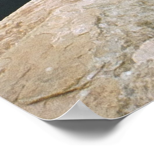 Horseshoe Bend Poster (Ecke)