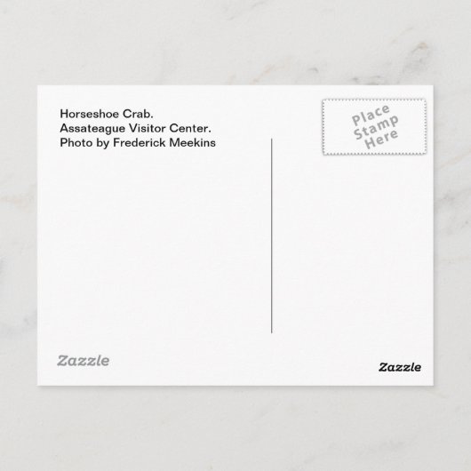 Horseshoe Crab, #1 Postkarte (Rückseite)