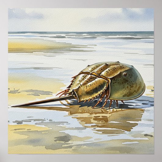 Horseshoe Crab Crawling Zuhause Poster (Vorne)