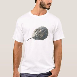 Horseshoe Crab IBSP T - Shirt