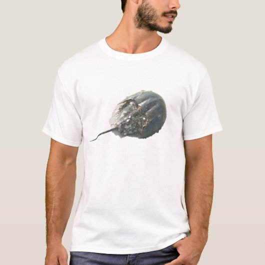 Horseshoe Crab IBSP T - Shirt (Vorderseite)