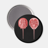 Horseshoe Crab Magnet (Vorderseite/Rückseite)