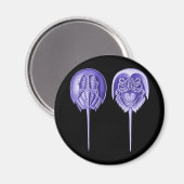 Horseshoe Crab Magnet (Vorderseite/Rückseite)